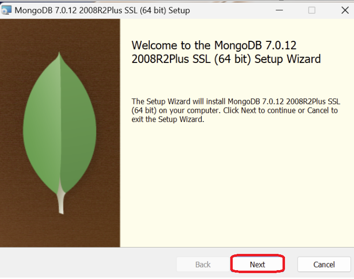 MongoDB Picture1